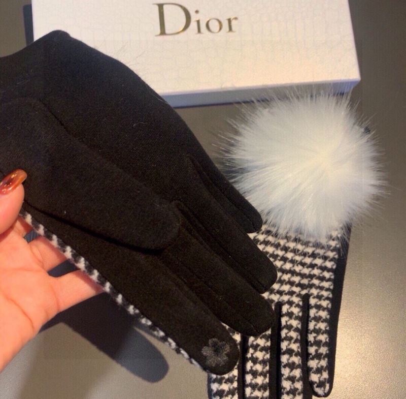 Christian Dior Gloves